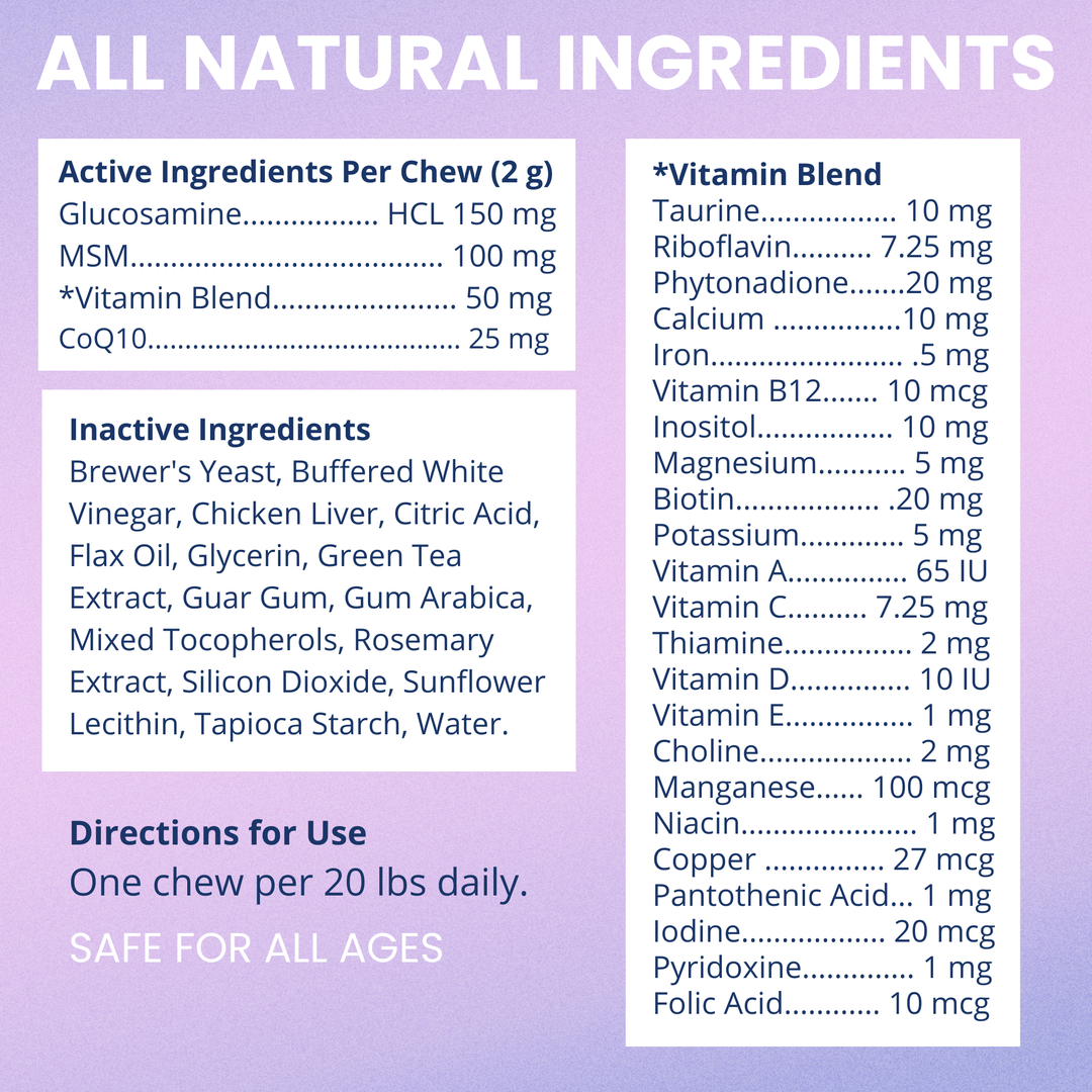 Multivitamin Daily Support Chews For Dogs