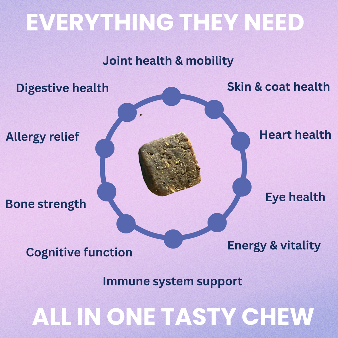 Multivitamin Daily Support Chews For Dogs