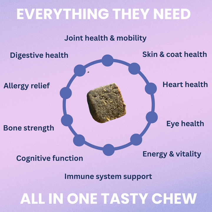 Multivitamin Daily Support Chews For Dogs
