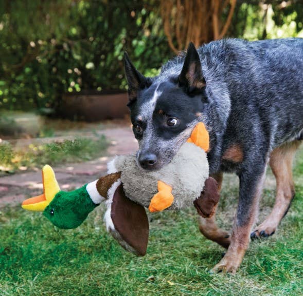 KONG® Shakers™ Honkers Duck Dog Plush Toy Large