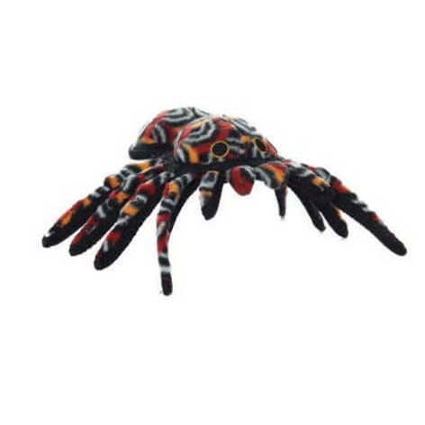 Colorful tarantula plush toy on a white background