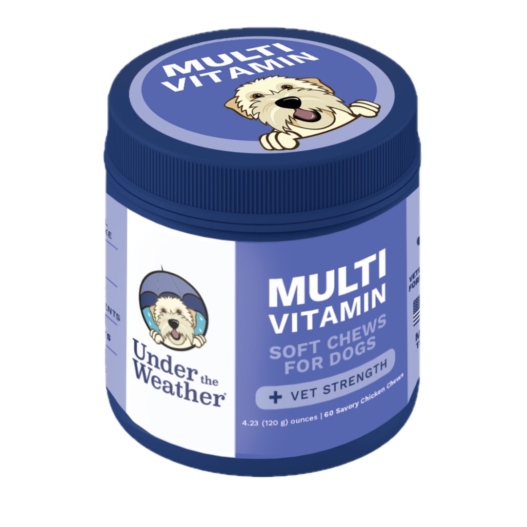 Multivitamin Daily Support Chews For Dogs