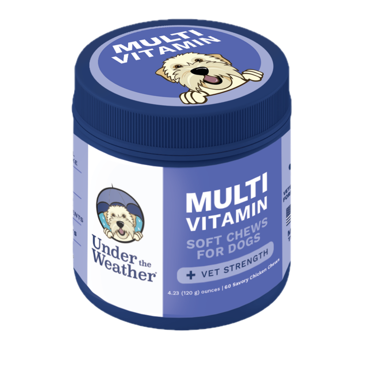 Multivitamin Daily Support Chews For Dogs