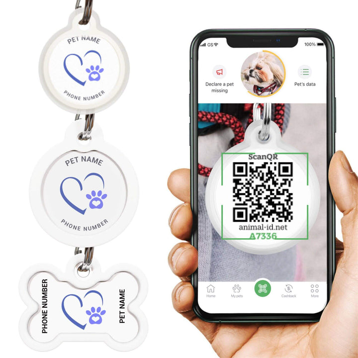 Pet ID tags with QR code scanner app on smartphone