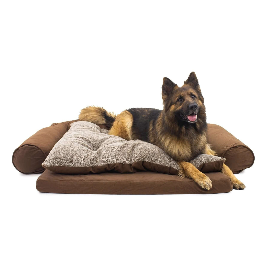 Orthopedic Sleeper Comfort Couch® Dog Bed with Cushion - Brown