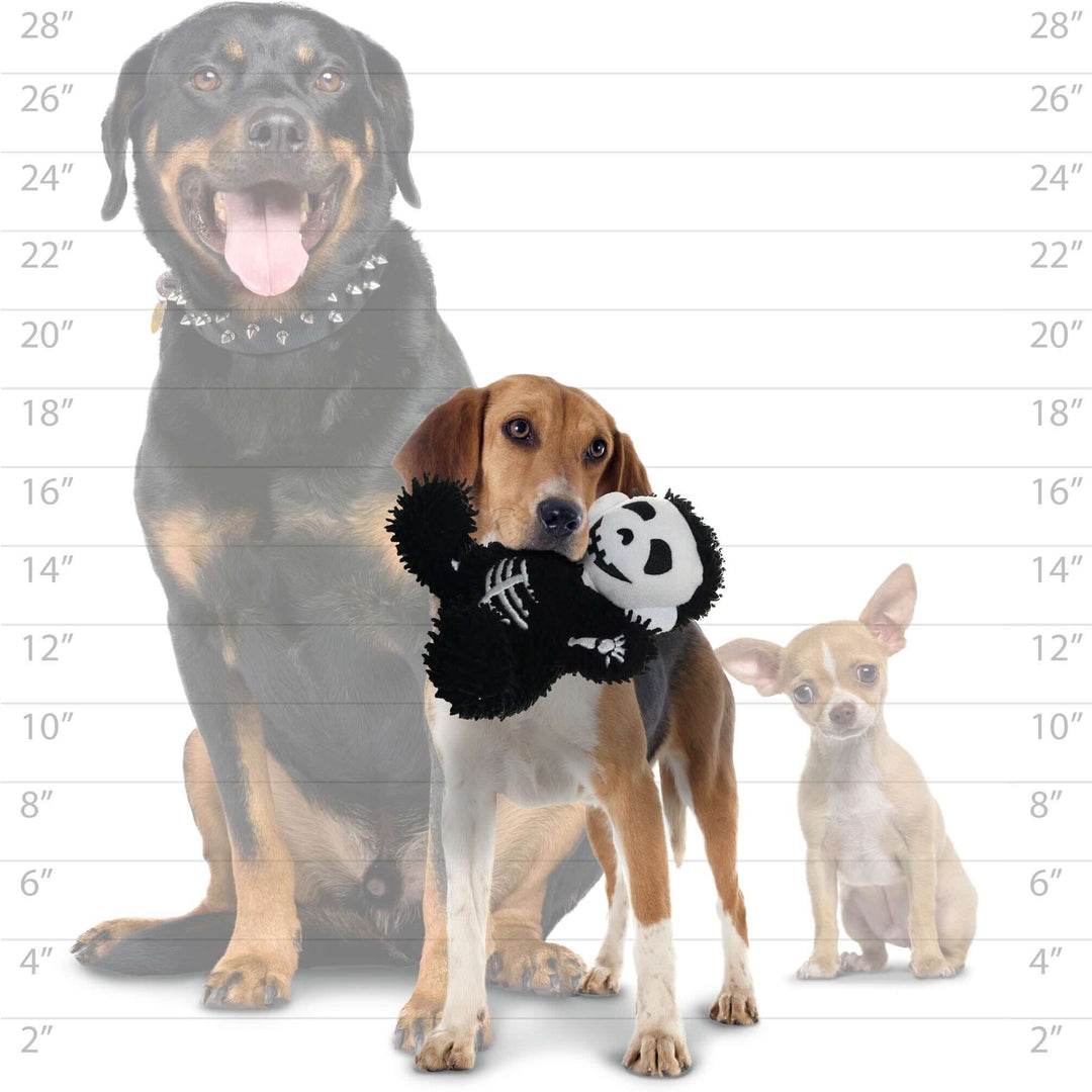 Three dogs of different sizes with a toy, standing next to a measurement chart.