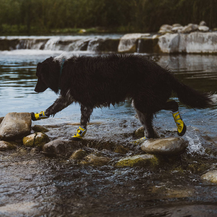 Body Glove Paw Protector Booties: Small