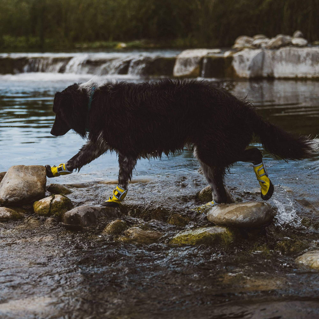 Body Glove Paw Protector Booties: Yellow / X-Large