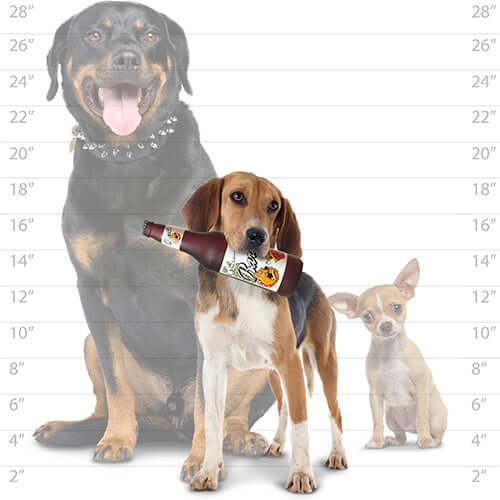 Silly Squeakers® Bottles: Barks