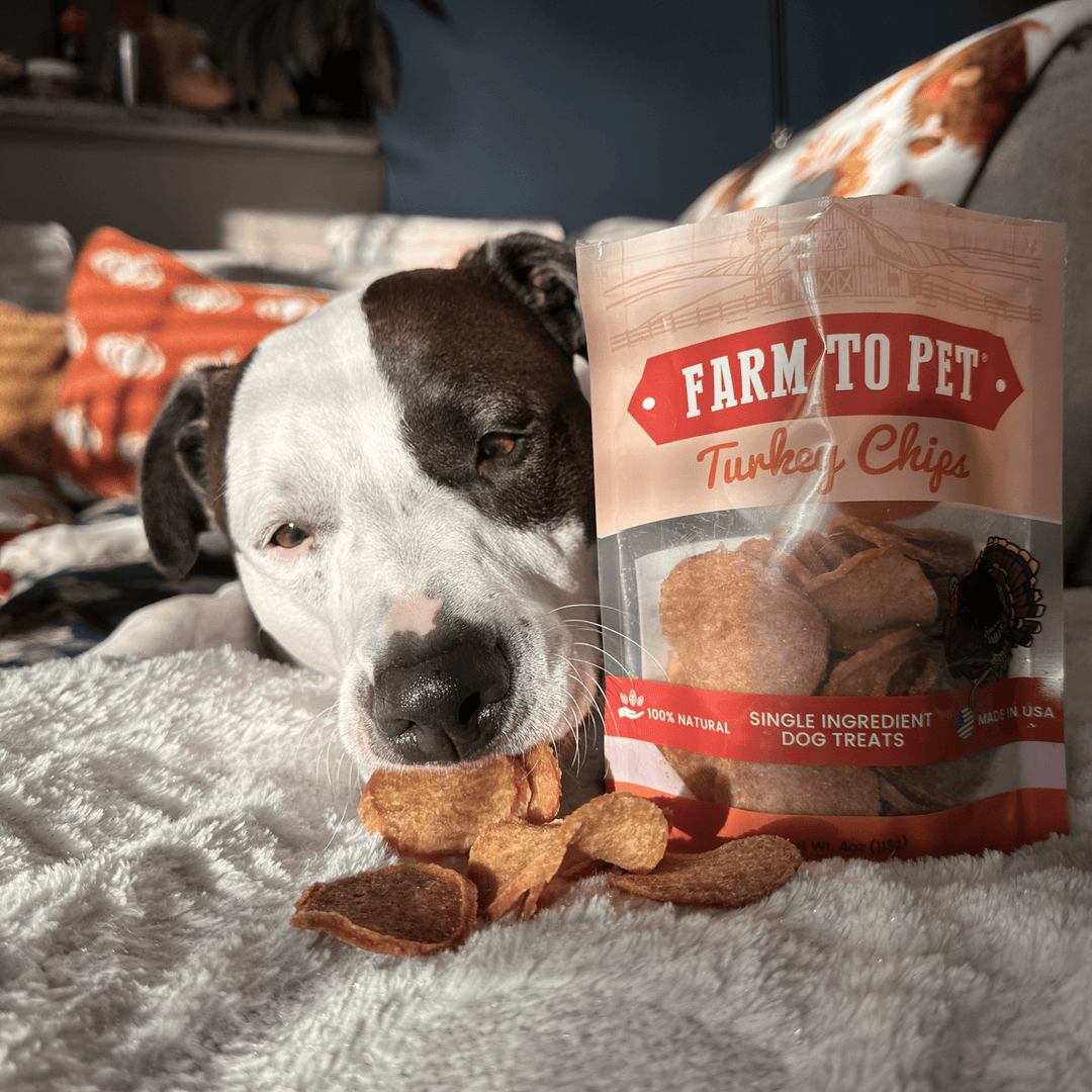 Farm to Pet Turkey Chips Dog Treats 12oz