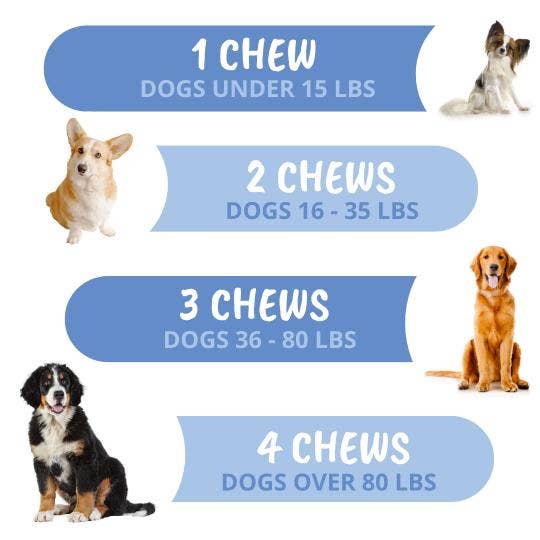 Under the Weather Disc & Spine Soft Chew 60ct