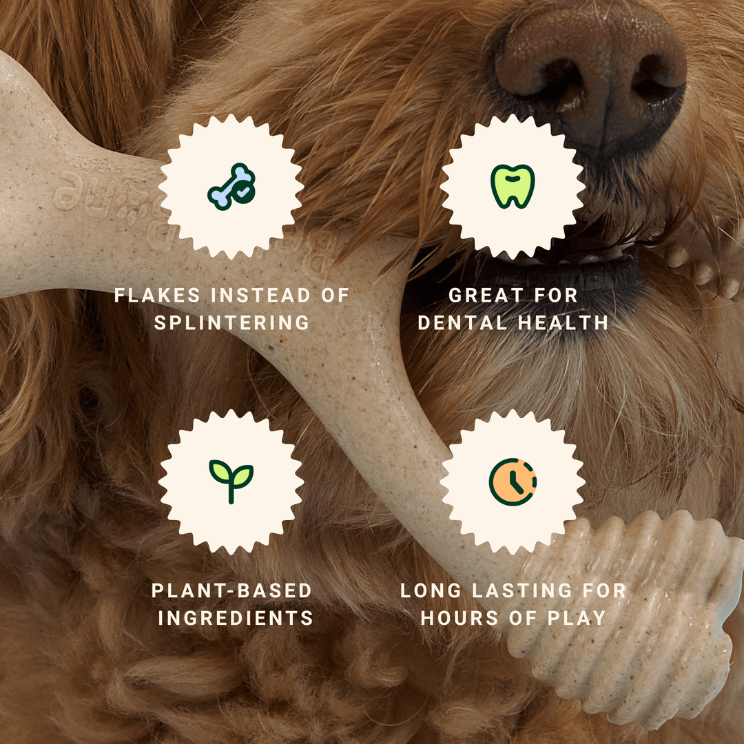 BetterBone Wishbone Plant Based Chew Toy - Moderate / Beef / Large