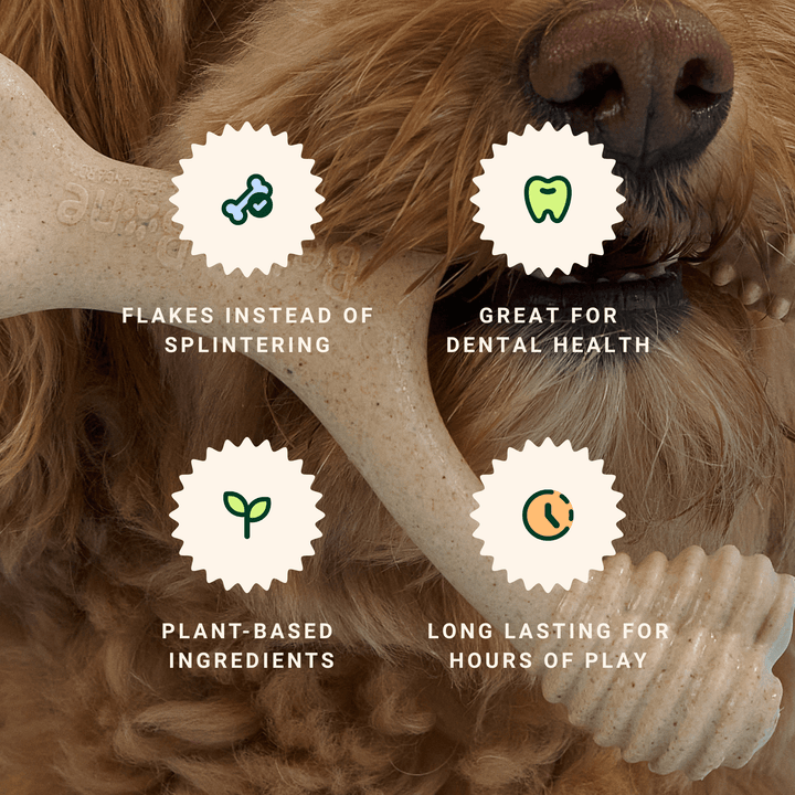 BetterBone Wishbone Plant Based Chew Toy - Moderate / Beef / Large