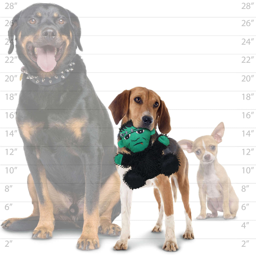 A medium-sized dog holding a Frankenstein-themed plush toy in front of a height chart, with two other dogs in the background for size comparison.