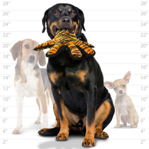 Tuffy® MEGA™ Small Octopus - Oscar Schwarzacreature