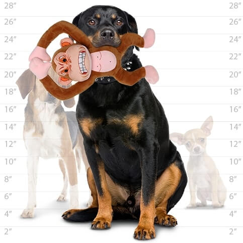 Large dog holding a plush monkey-shaped dog toy with an angry expression and arms raised above its head, with a size chart in the background and two smaller dogs.