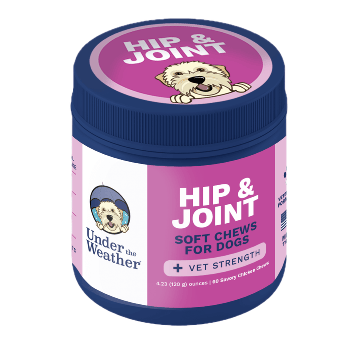 Hip & Joint Mobility Soft Chews for Dogs