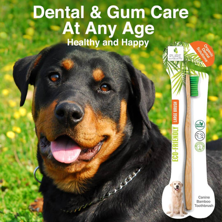 Bamboo Toothbrush for Large Dogs - Organic Dental Solutions®