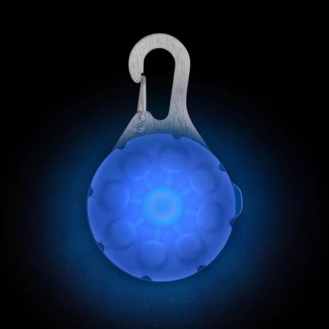 Nite Ize SpotLit® Rechargeable Collar Light - Blue