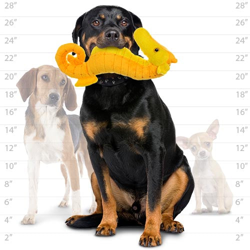 Mighty® Ocean Seahorse Dog Toy