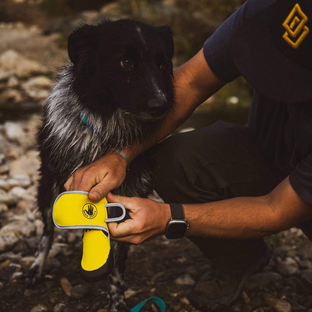 Body Glove Paw Protector Booties: Black / Medium
