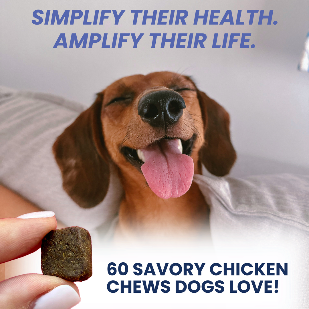 Multivitamin Daily Support Chews For Dogs