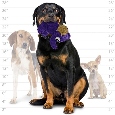 A large dog holding a purple plush toy in its mouth, sitting in front of a height chart. Two smaller dogs are in the background for size comparison.