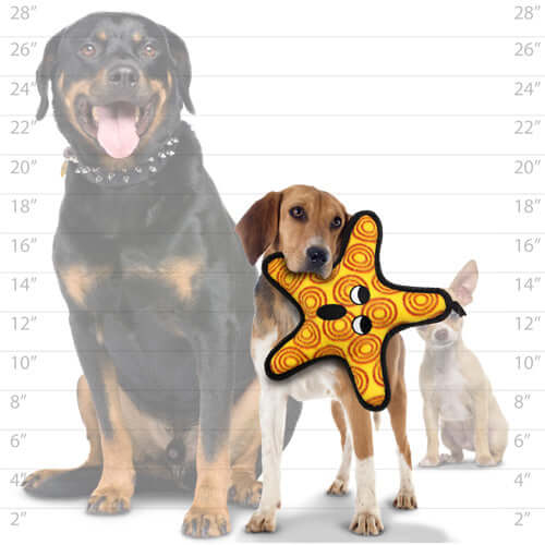 Tuffy® Ocean Creature Series - The "General" Starfish