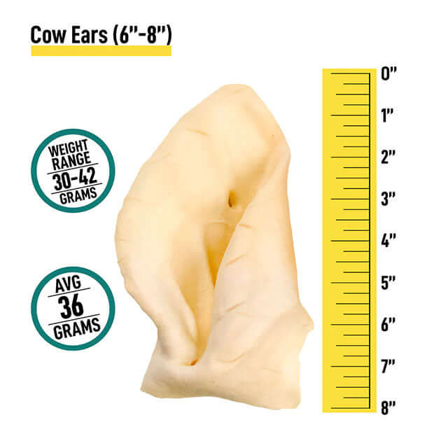 Zenta - Cow Ears Package of 4