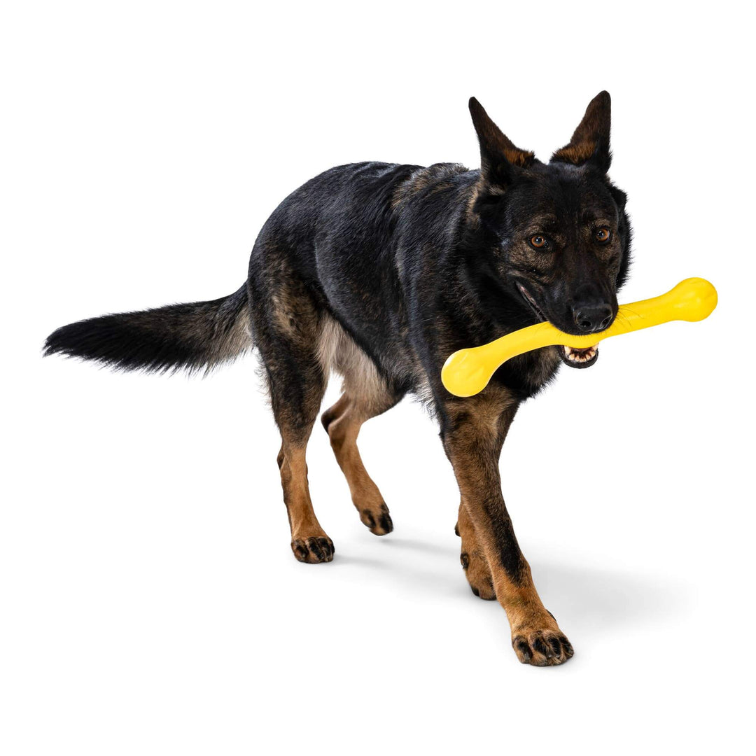 West Paw Zwig® Dog Toy for Play, Tug, and Fetch: Dandelion Yellow