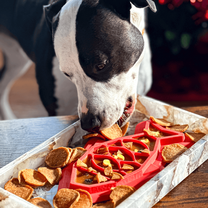 Fish Chips Healthy Dog Snack Pack Bundle (24 pack)