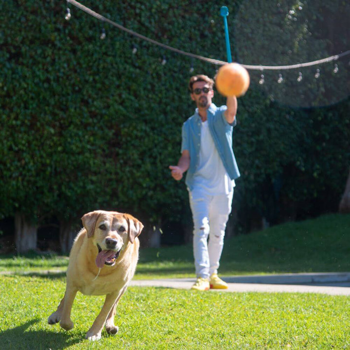 A man launching a tennis ball with the Outward Hound launcher while a happy dog runs towards the ball in a grassy yard.