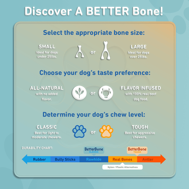 BetterBone SOFT- All-Natural, Safer on Teeth, Sustainable: Beef / Large (dogs over 25 lbs)