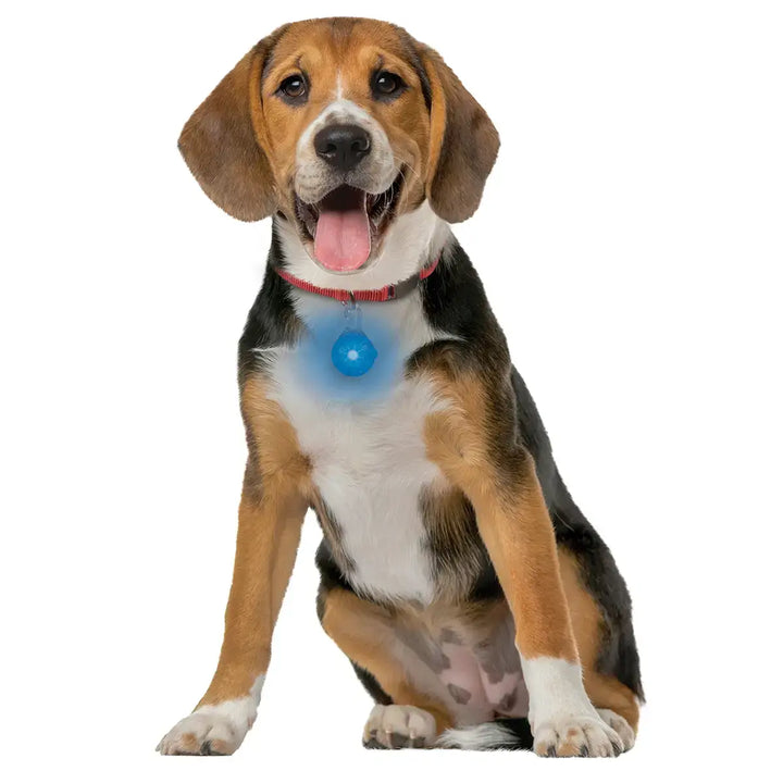 Nite Ize SpotLit® Rechargeable Collar Light - Blue
