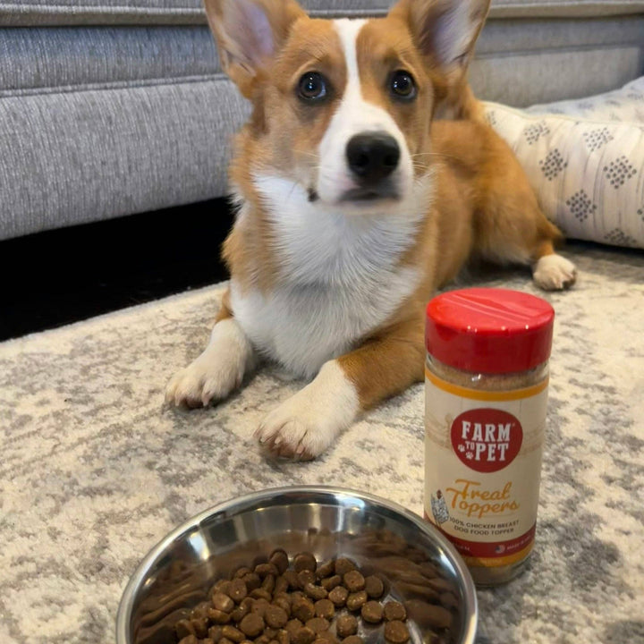 Farm to Pet Chicken Treat Dog Food Topper – 4.7 oz