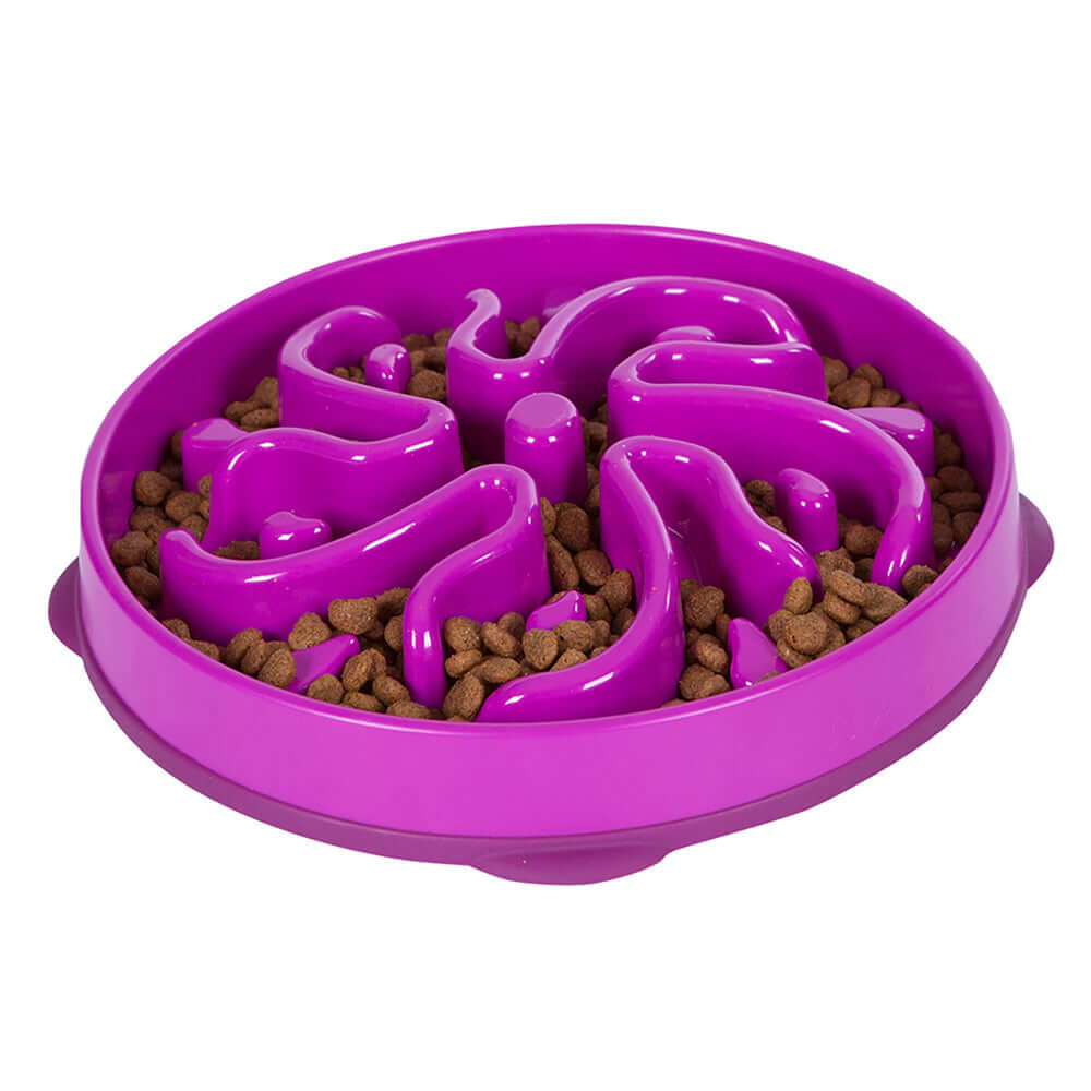 Fun Feeder Slo-Bowl - Purple Medium