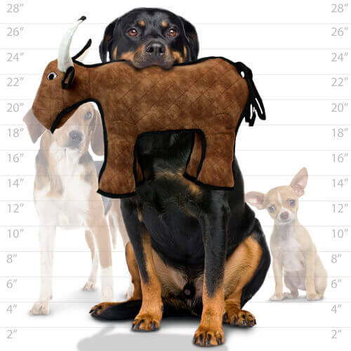 Large dog holding a brown plush bull-shaped dog toy with white horns and black trim, with a size chart in the background and two smaller dogs.