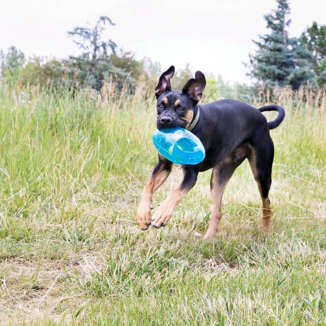 KONG® Jumbler™ Football Dog Enrichment Toy Assorted Large/XL