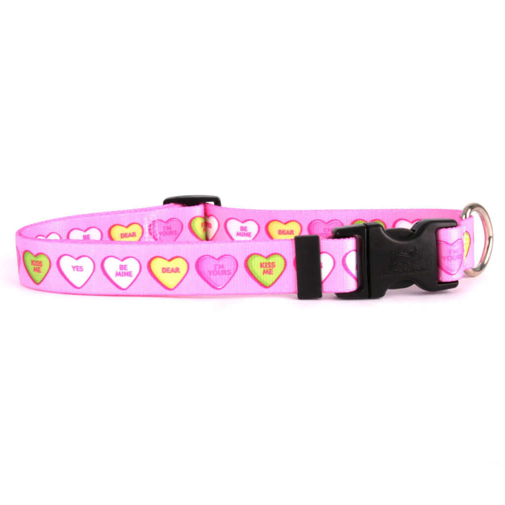 Sweetheart Collar: Show Your Pup Some Love! Small