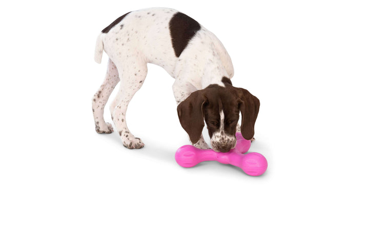 West Paw Skamp® Dog Toy for Play, Tug, and Fetch