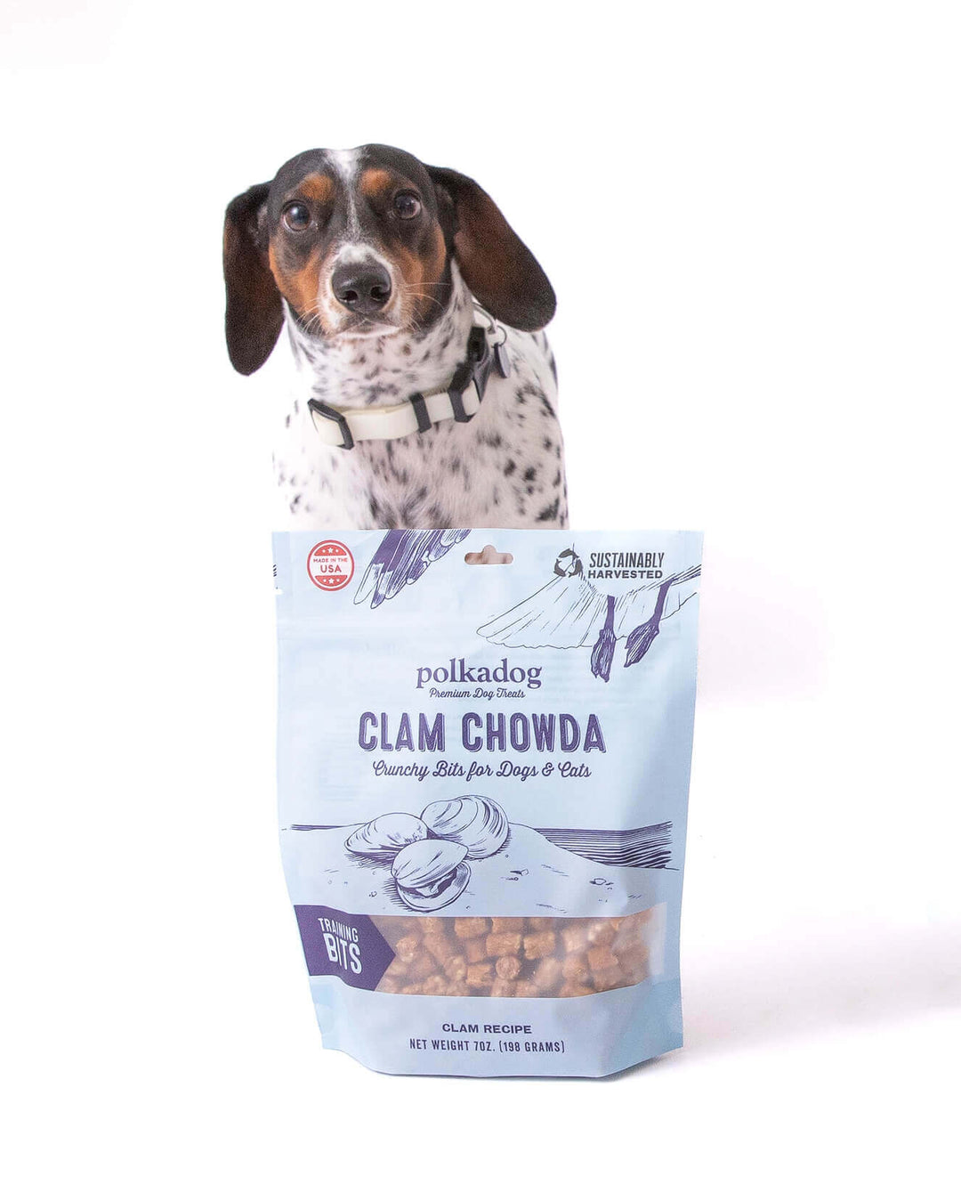 Polkadog Clam Chowda Bits: Crunchy training treats for dogs and cats, made from a clam recipe, sustainably harvested, and made in the USA. Pictured with a dog.