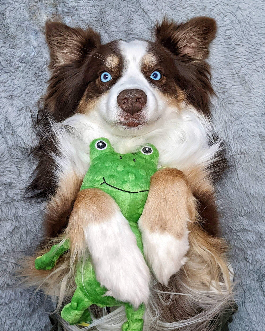 Frog Squeaker