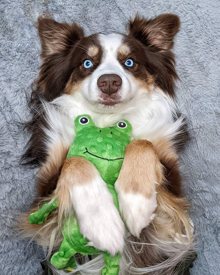 Frog Squeaker