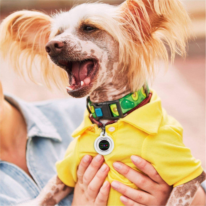 Dog Tag With Silicone, QR Code Dog Id Tag Personalized: Circle L (33 mm)
