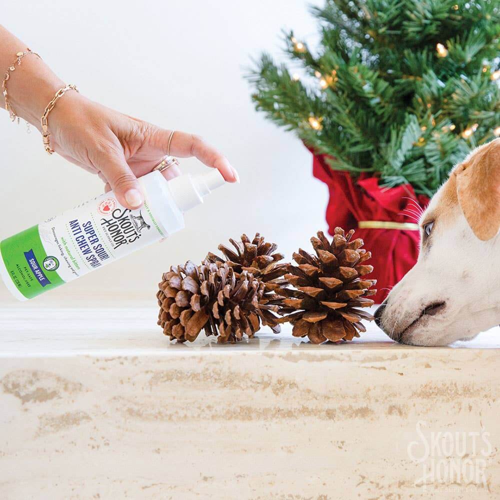 Person spraying Skout’s Honor Anti Chew Spray on pinecones to deter dog chewing, Christmas tree in background.