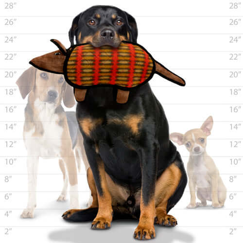 Tuffy® Desert Armadillo Dog Toy