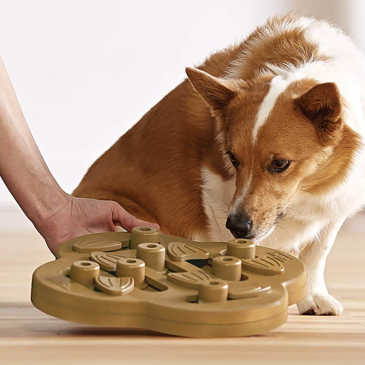 Person presenting the Hide N’ Slide interactive puzzle to an attentive dog—great for bonding, training, and mental stimulation.