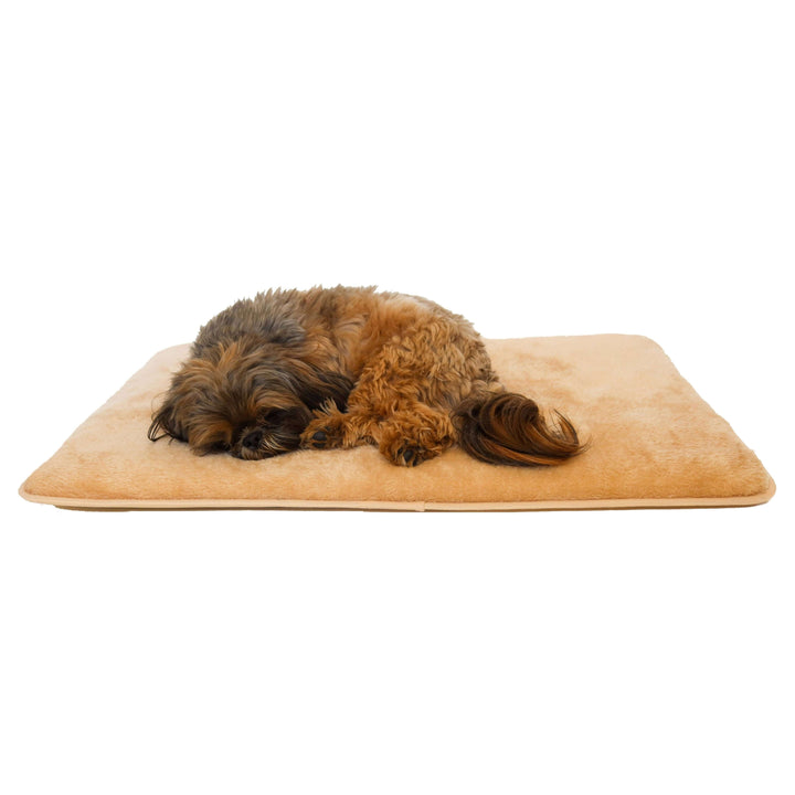 Dog lying on a beige mat with a white background