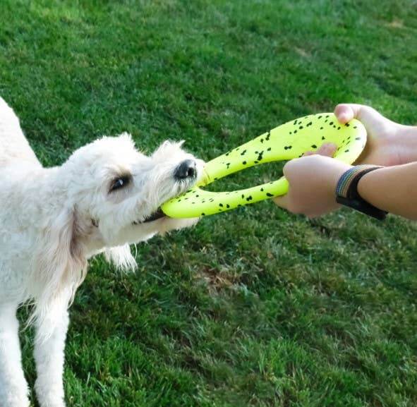 Dog playing with a yellow flyer on grass