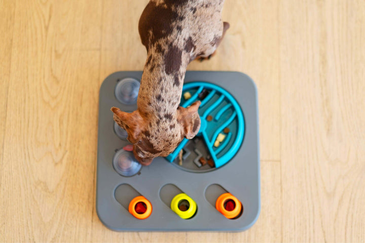 Dog searching for treats in the Messy Mutts Flip & Slide interactive puzzle.